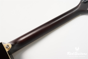APX-600FM - Amber